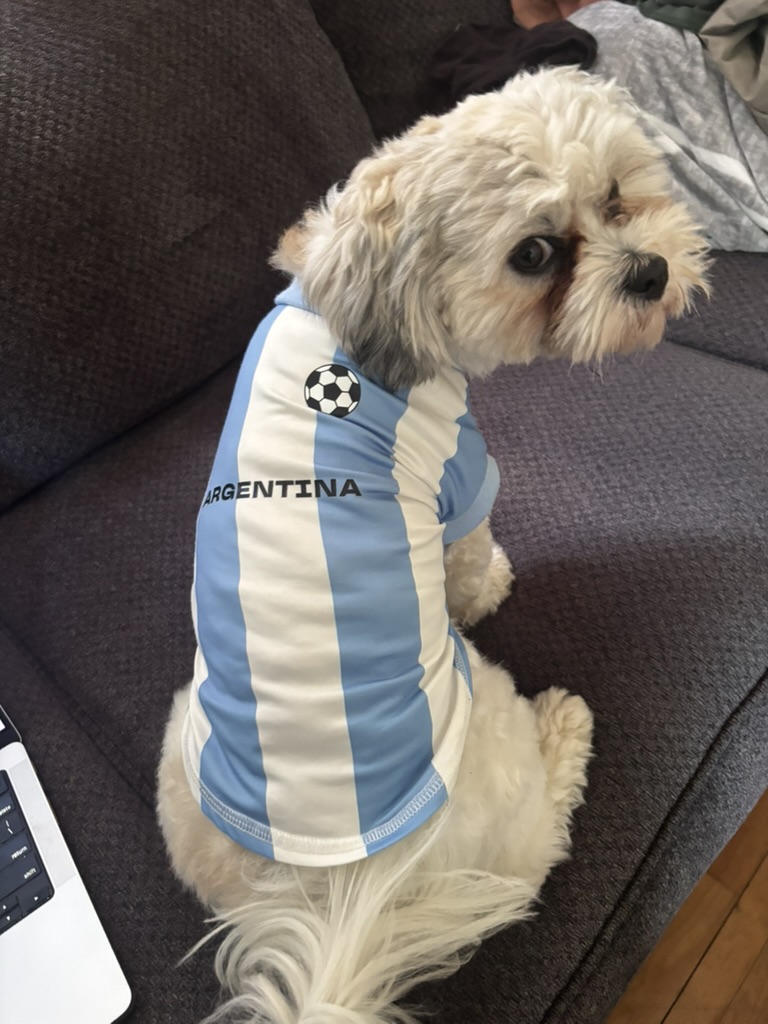 Theo, a small cream-coloured dog, sitting on a couch wearing a light blue and white Argentina football jersey.